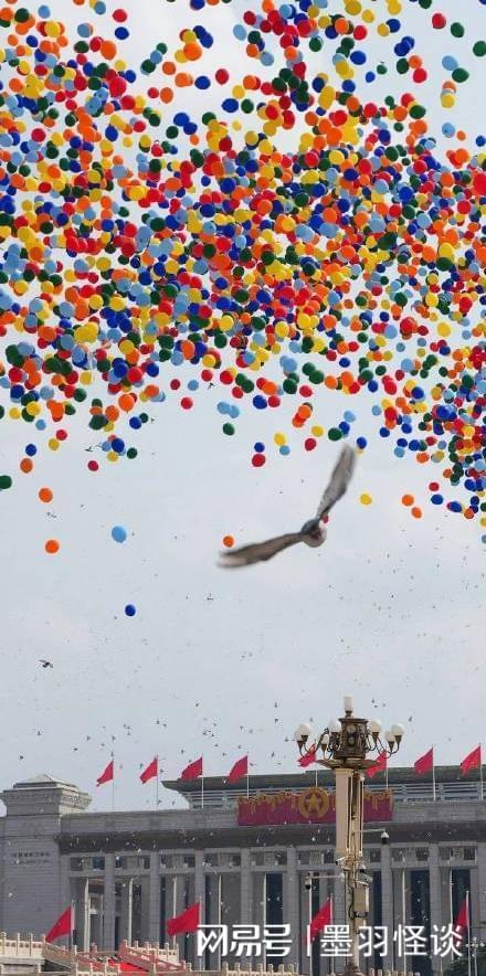 阅兵放飞信鸽翻车现场：不少鸽子“越狱”，原因曝光让养鸽人泪崩